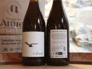 Domaine des Amiel – à Coural